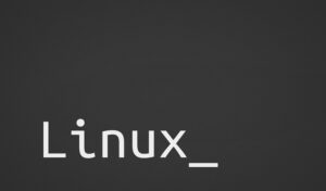 Linux Ported to the new Arm-based Mac Mini